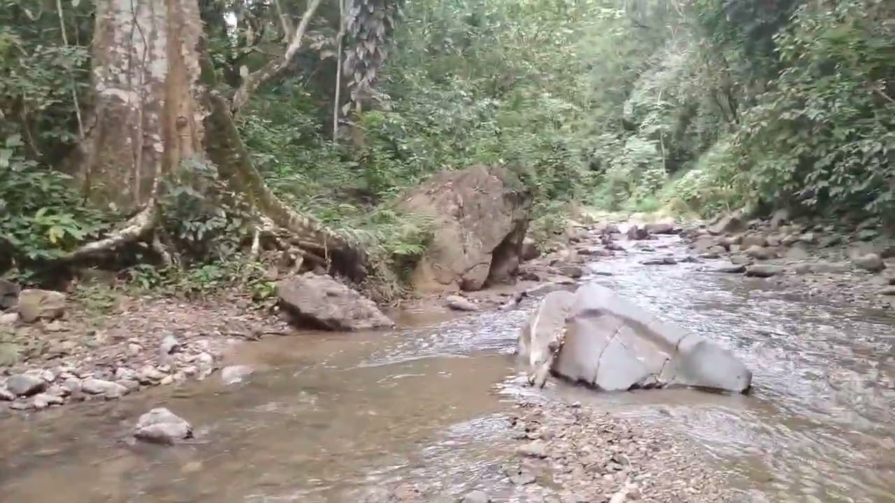 Encontramos piedras preciosas