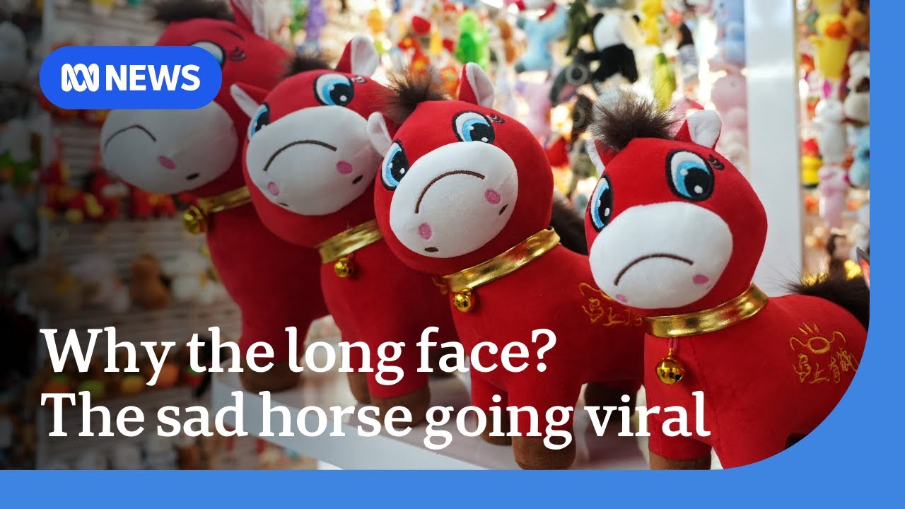 Year of the sad horse: Factory mistake creates viral toy in China | The World | ABC NEWS