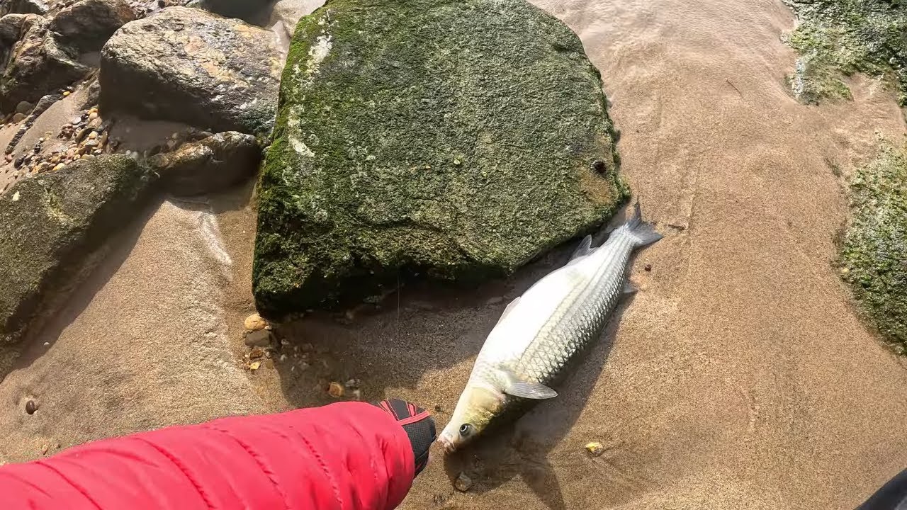 Já te aconteceu ires a pesca... (Nelson estava imparável)