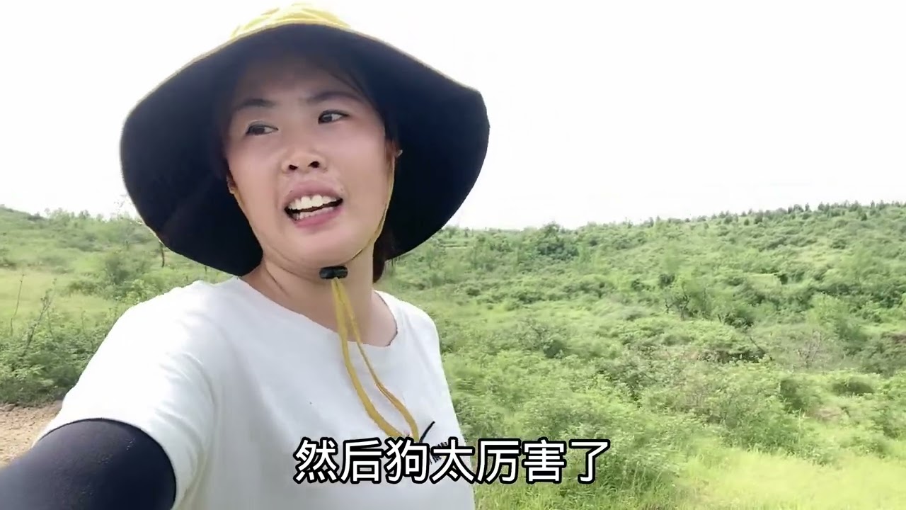 小红家牧羊犬第一次放羊，威风凛凛霸气侧漏，逼的小羊差点跳山崖#牧羊犬随时迎战 #我的农村真实生活 #放羊人 #父女 #第一次