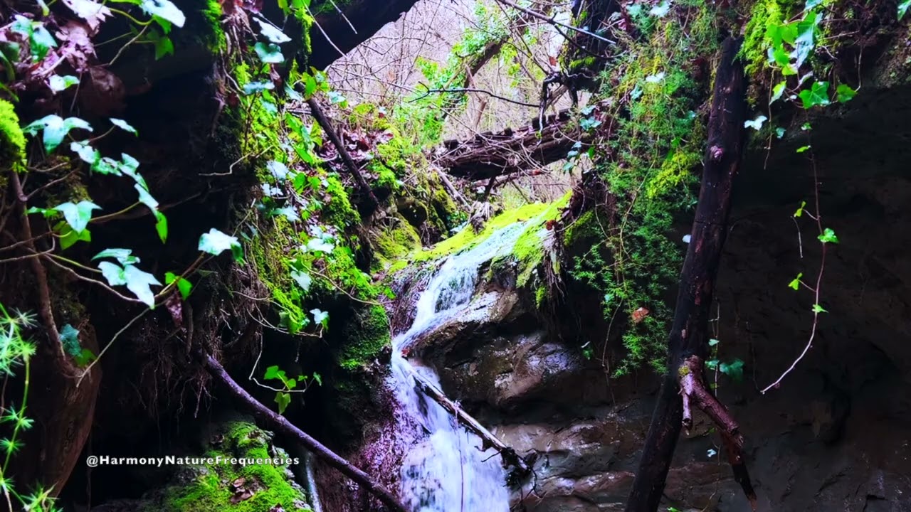 Deep Meditation Music 432Hz 🌙 Tibetan Relaxing Sounds | Fall Asleep Fast, Forest Water Ambience