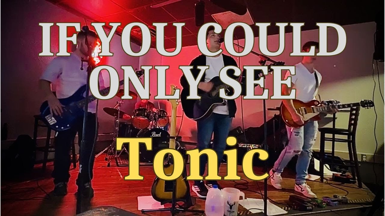 If You Could Only See - Tonic