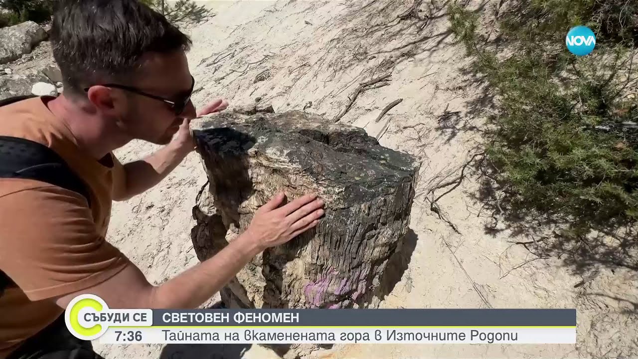 „Дотам и обратно”: Тайната на вкаменената гора в Източните Родопи - Събуди се (13.04.2024)