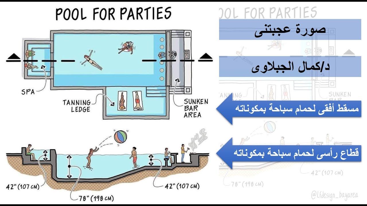صورة عجبتنى - فكرة تصميم حمام السباحة بمكوناته فى المسقط الأفقى والقطاع, د/كمال الجبلاوى