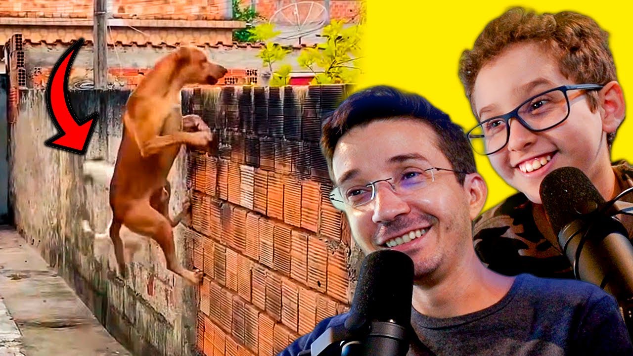 OS CACHORROS E GATOS MAIS ENGRAÇADOS DO MUNDO - Paulinho e Toquinho Family