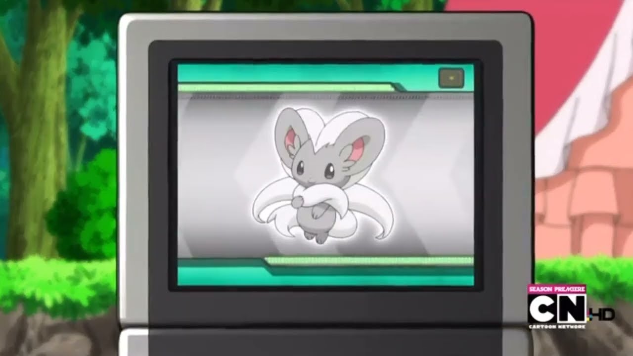 Cinccino Pok&eacute;dex Entries..wmv