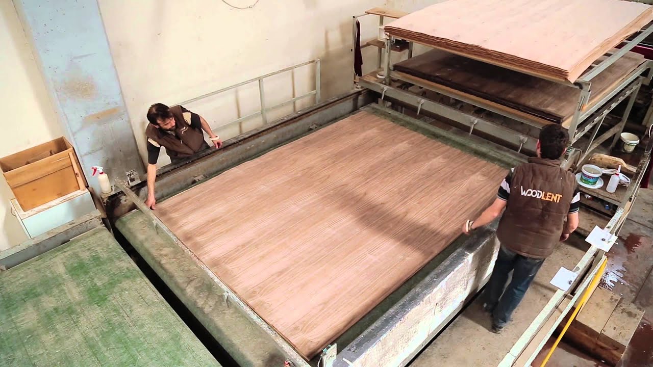 WOODLENT - VENEERED MDF FACTORY