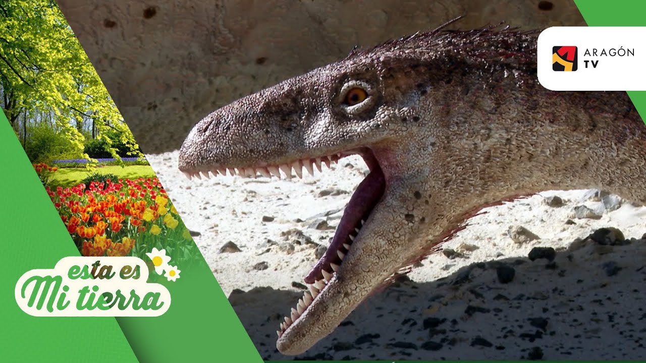 Dos nuevos dinosaurios en Din&oacute;polis