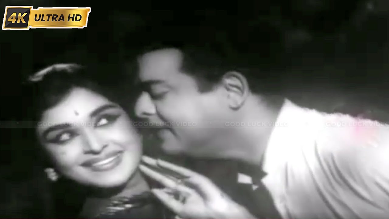பணமா பாசமா திரைப்படத்தின் பாடல்கள் | Panama Pasama FullL Songs | K. V. Mahadevan .