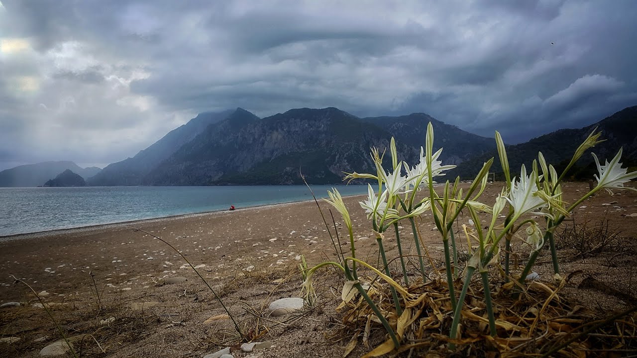 LİKYA YOLU YÜRÜYÜŞ REHBERİ 23.BÖLÜM ADRASAN - OLYMPOS - ÇIRALI