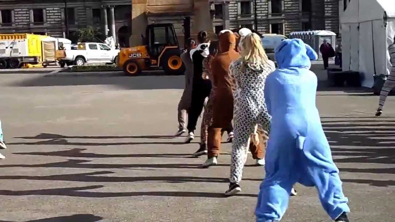 HILLHEAD HIGH FLASH MOB DANCE--{1}