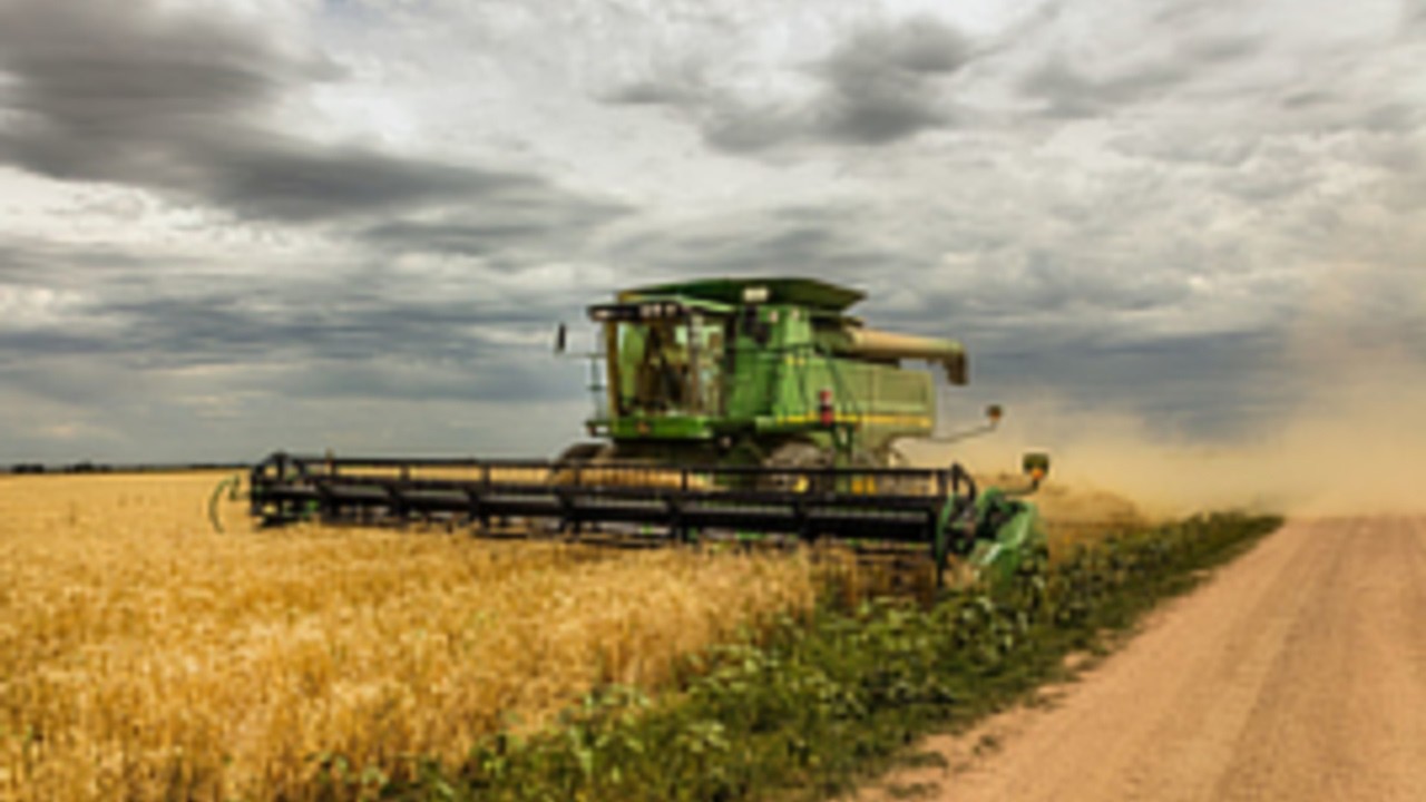 We Still Walk Our Fields
