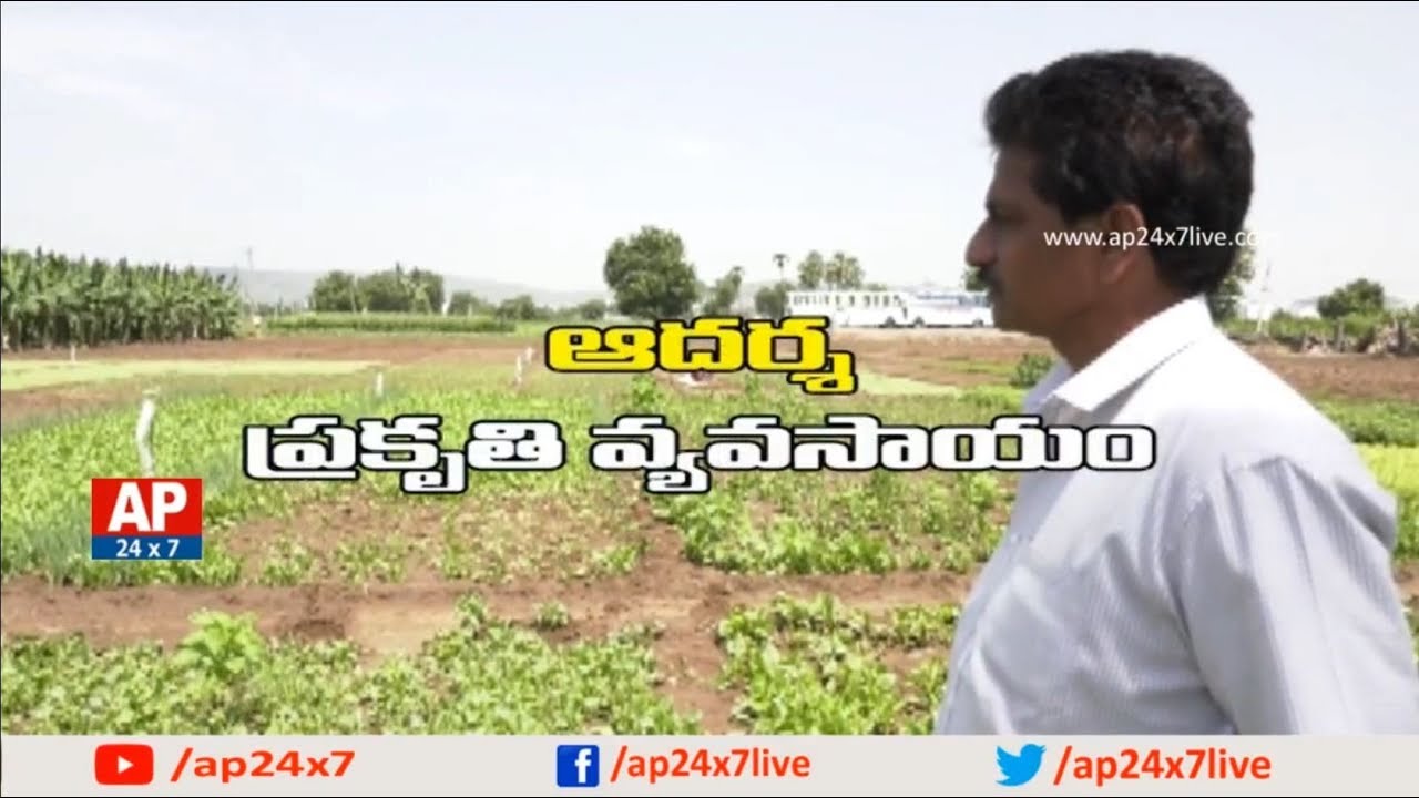 Natural Farming | Farmer Sambi Reddy Arumalla Success Story | Rythu Ratham | AP24x7