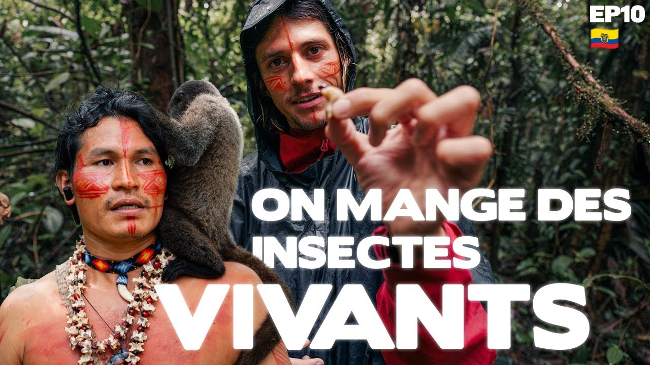 #10. 🇪🇨On part dans la FORÊT AMAZONIENNE