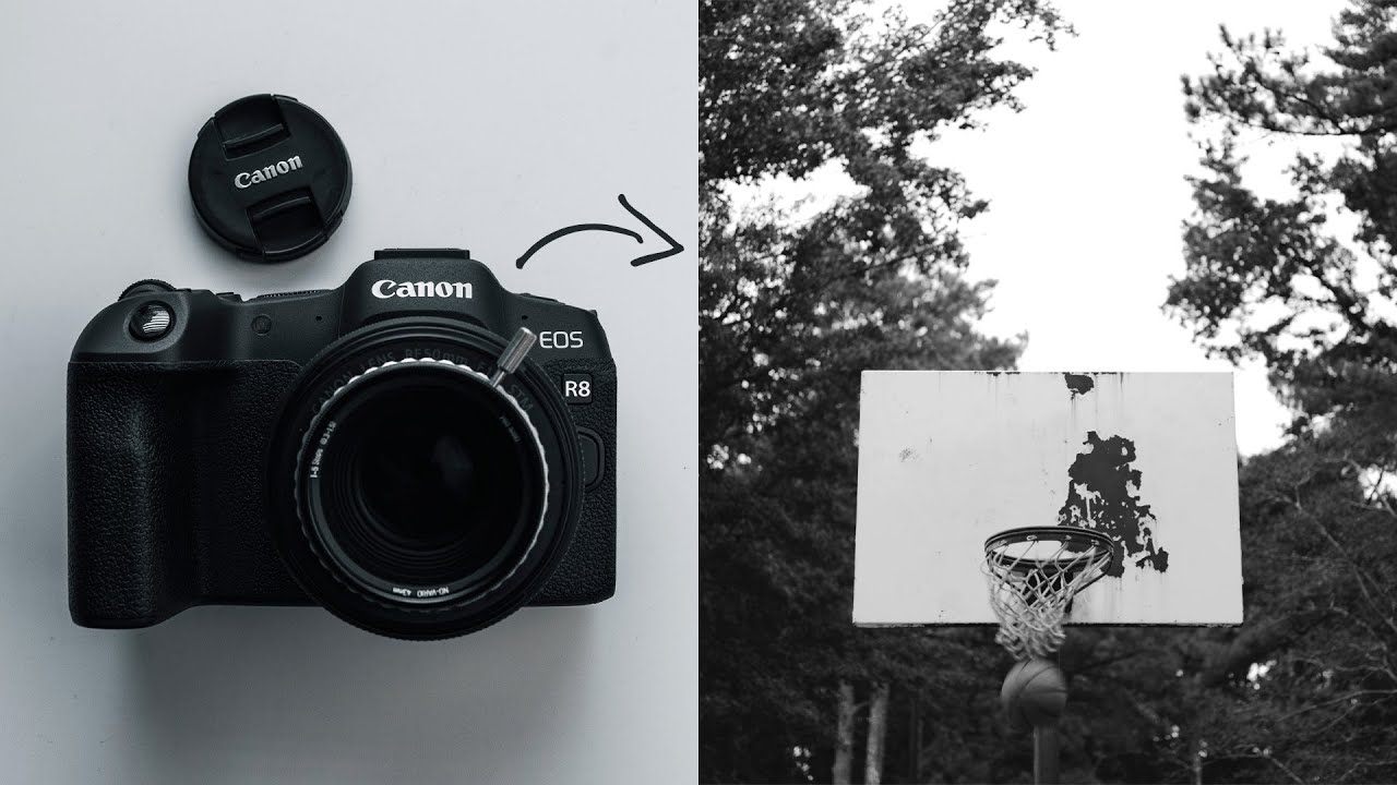 Canon R8 + Canon 50mm RF 1.8