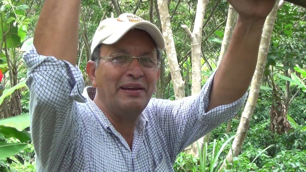 Loma Fría