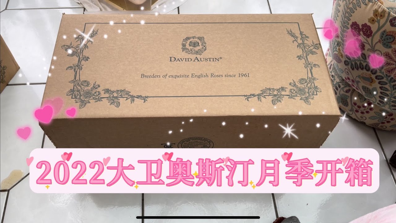 大卫奥斯汀裸根月季2022春季开箱！来看看我订了哪些品种吧，还有栽种的建议要点，坐标多伦多