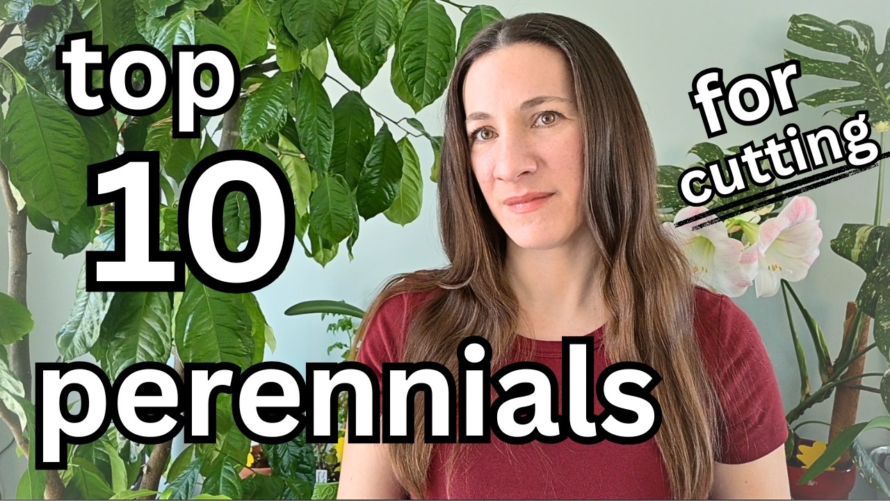 grow THESE perennials to ELEVATE your cutting garden / flower farm