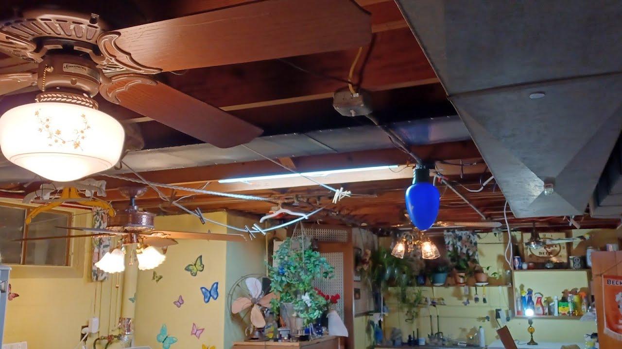 new years special: ceiling fan display (2023 edition)