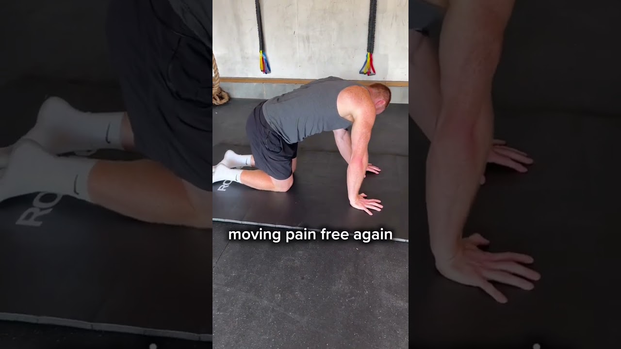 Low Back Mobility Drills | Top 5 To Move Pain Free