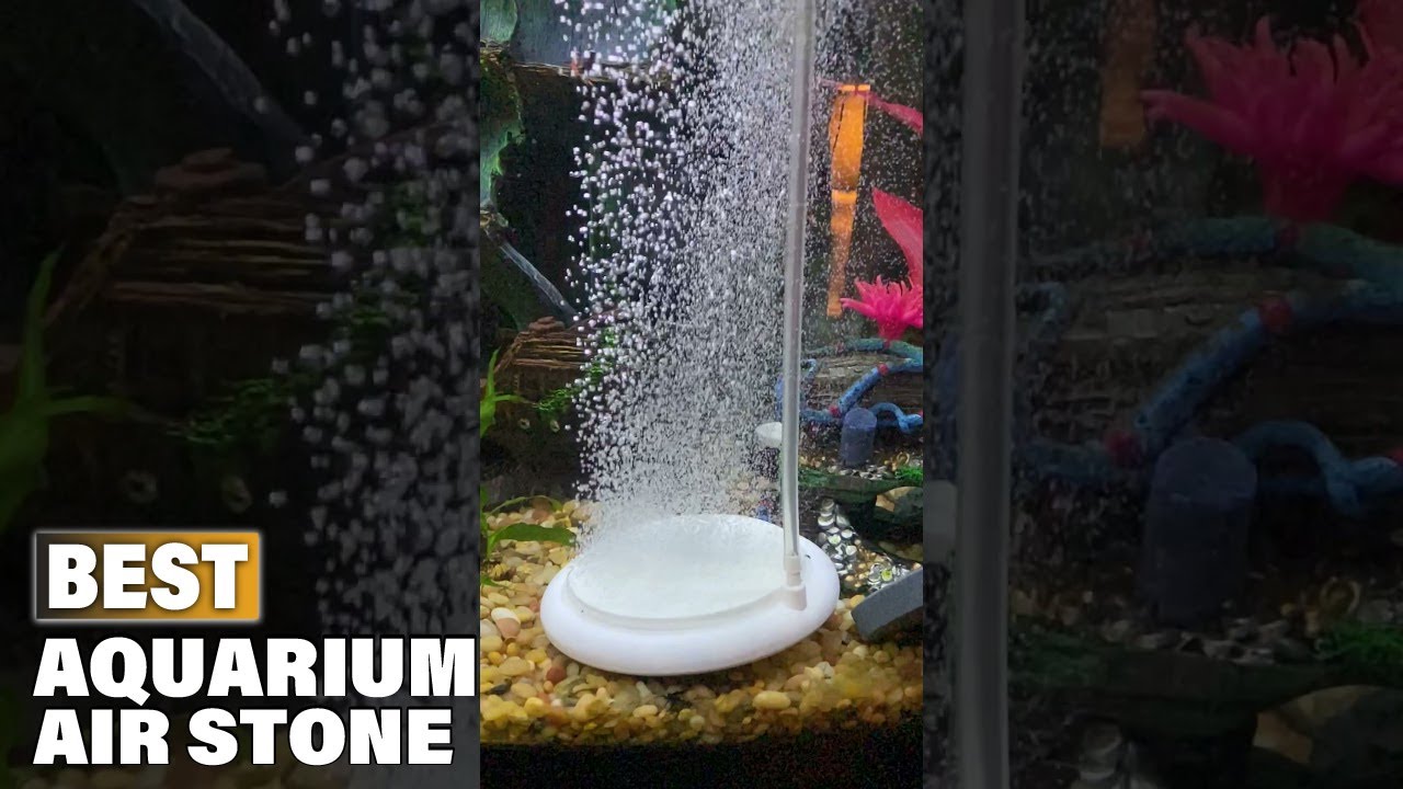 Top 10 Best Aquarium Air Stone On Amazon