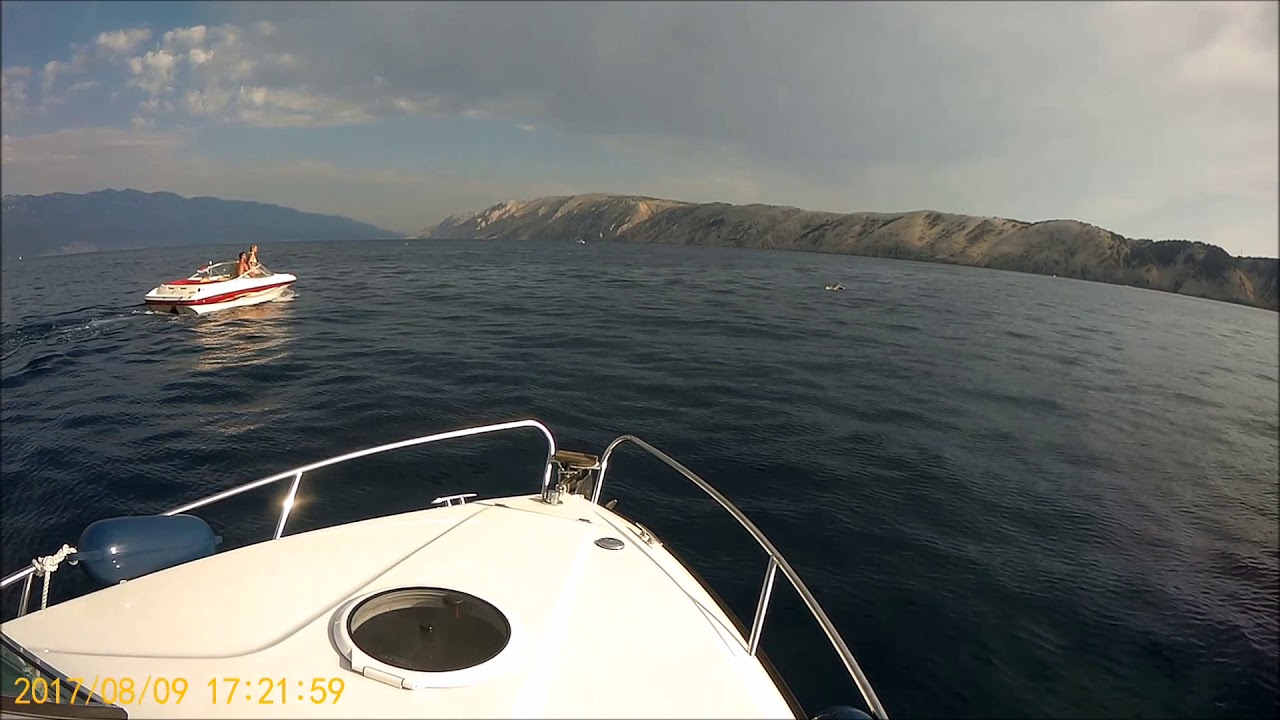Urlaub 2017 mit unserer Hellwig Milos V630 Delfine vor Lopar / Rab