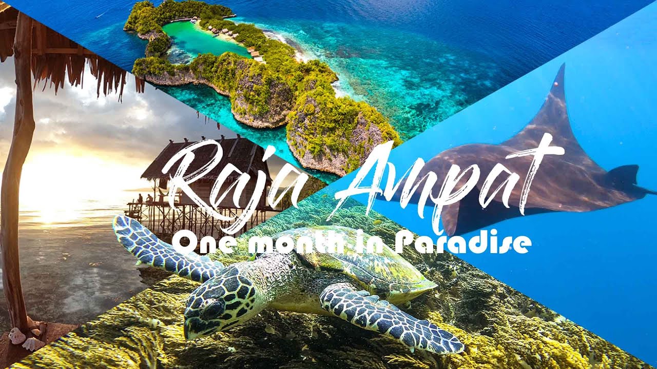 Raja Ampat | One Month In Paradise | West Papua | Methos Homestay