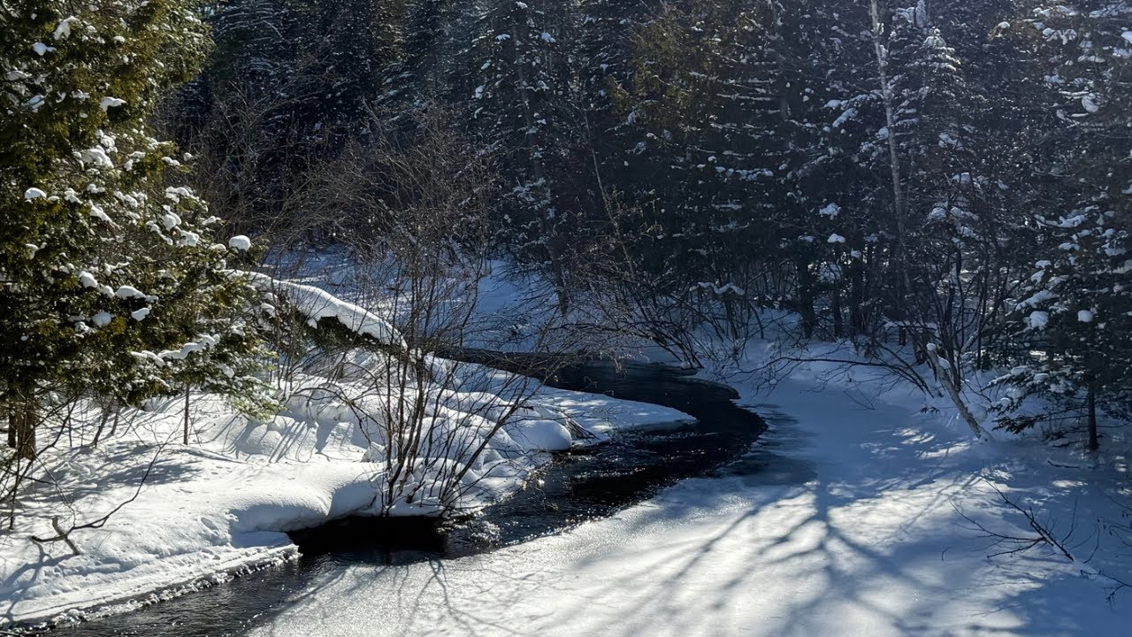 Another Day in the Cold | Winter Jeep Exploring Michigan