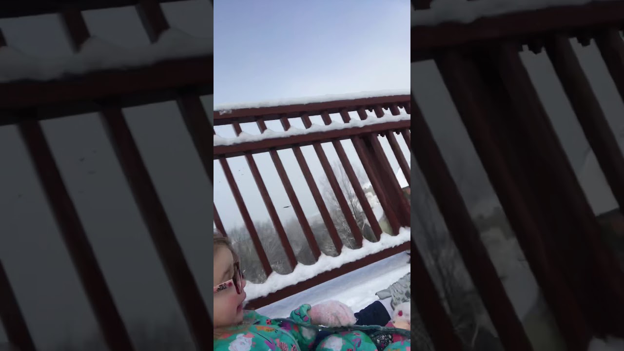 ❄️ Snow day sleigh ride 🛷  24/01/2021