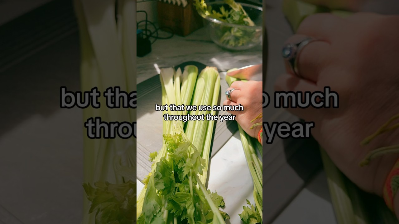 Preserving Our Celery For 25 Years! Having Freeze Dried Celery Is A MUST For Our Pantry!