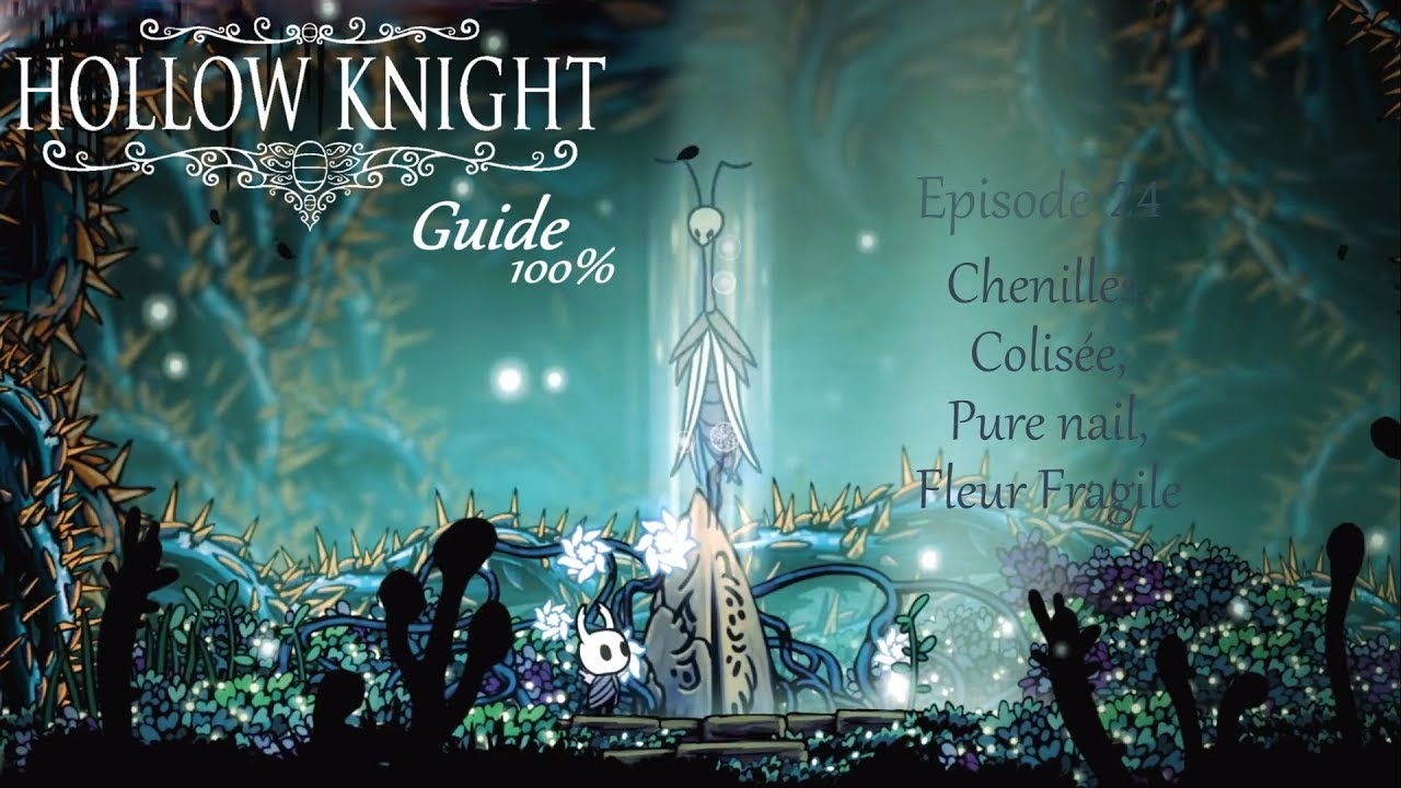 Hollow Knight : guide 100% - Episode 24 : Chenilles, Colisée, Pure Nail et Delicate Flower Quest