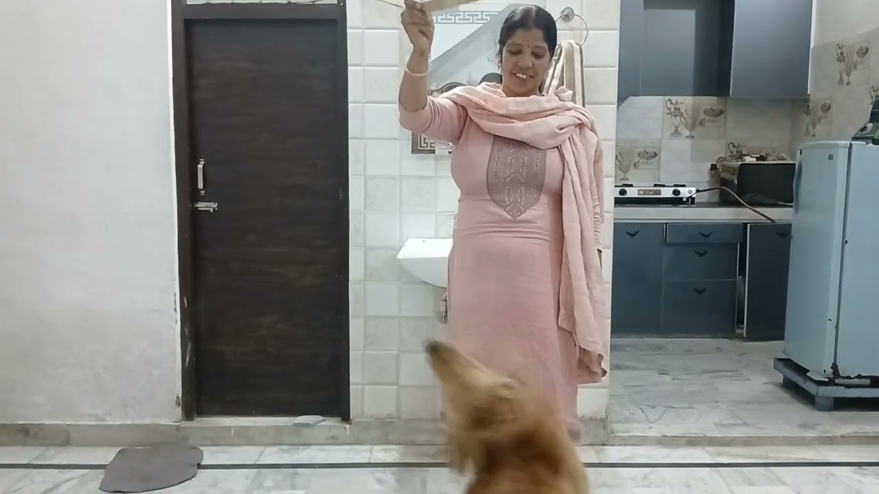 Daisy ki masti 😂