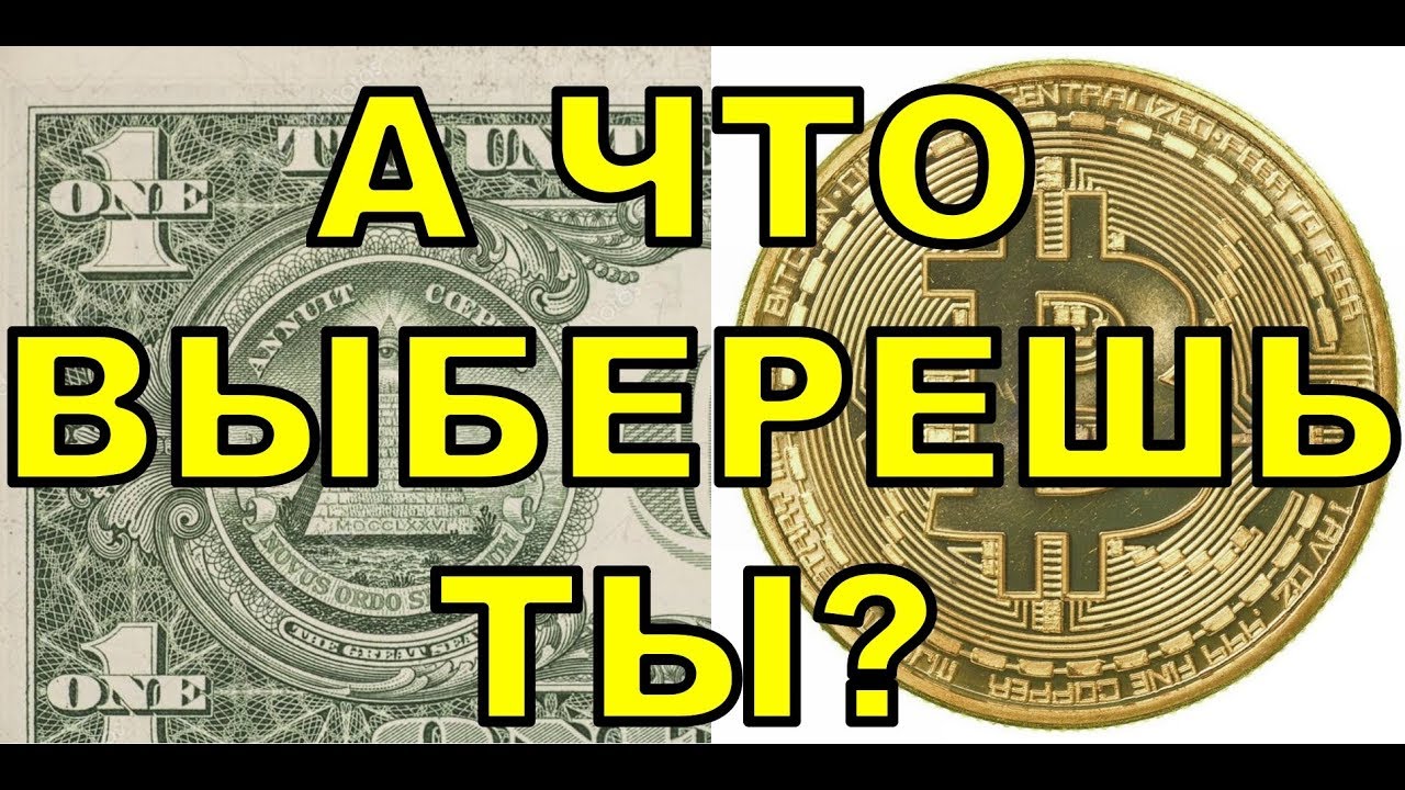Один Доллар или Один Биткоин? Большинство выбирает 1 USD.