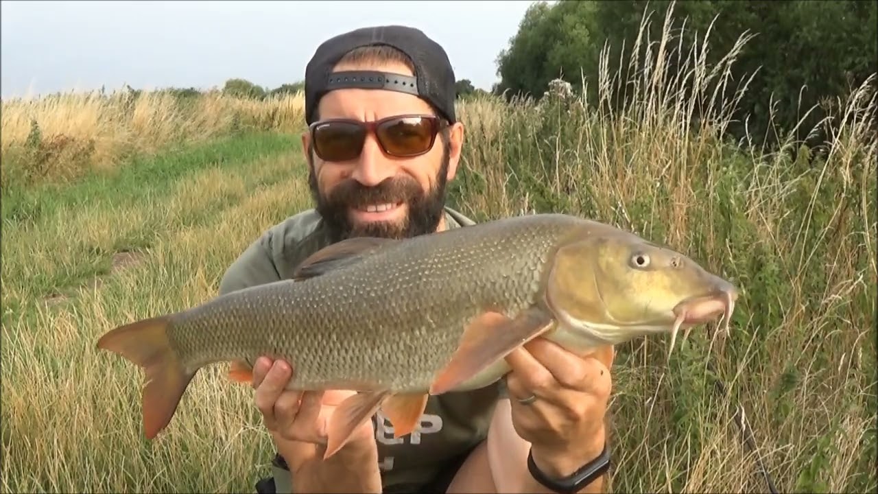 BAGGING BARBEL on Rolling meat - CRAZY ACTION!! Aug 2022
