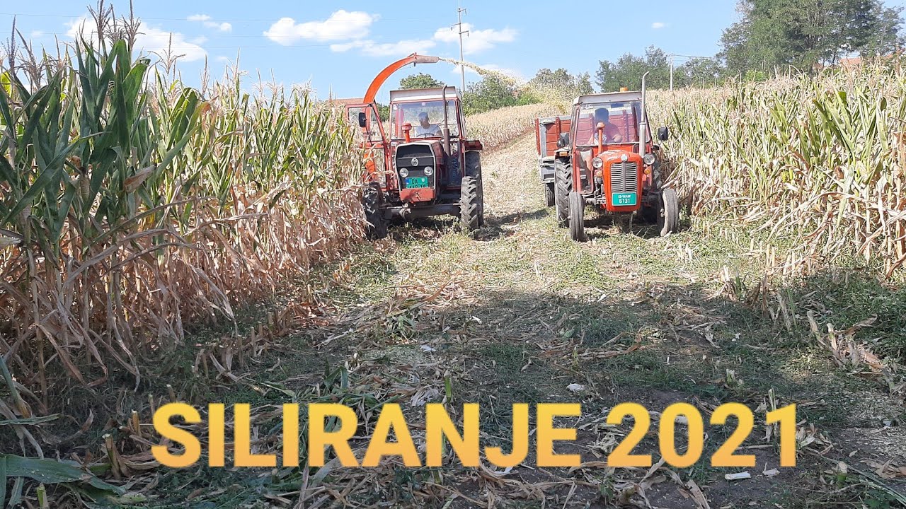 Silaža 2021.