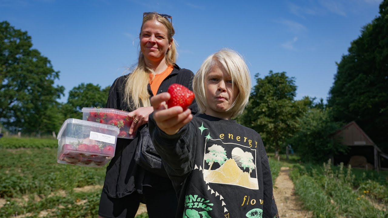 ØKOLOGISK JORDBÆRAVL