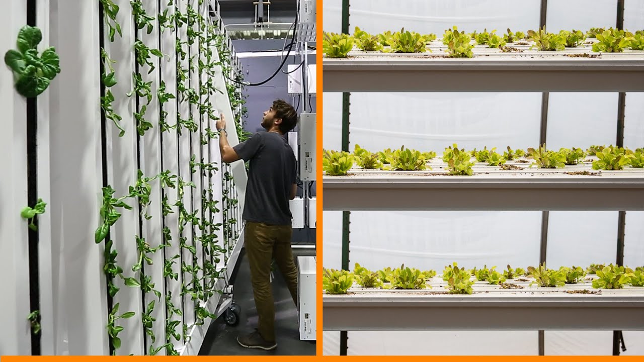 Vertical Farming: Horizontal Plane vs Vertical Plane Production