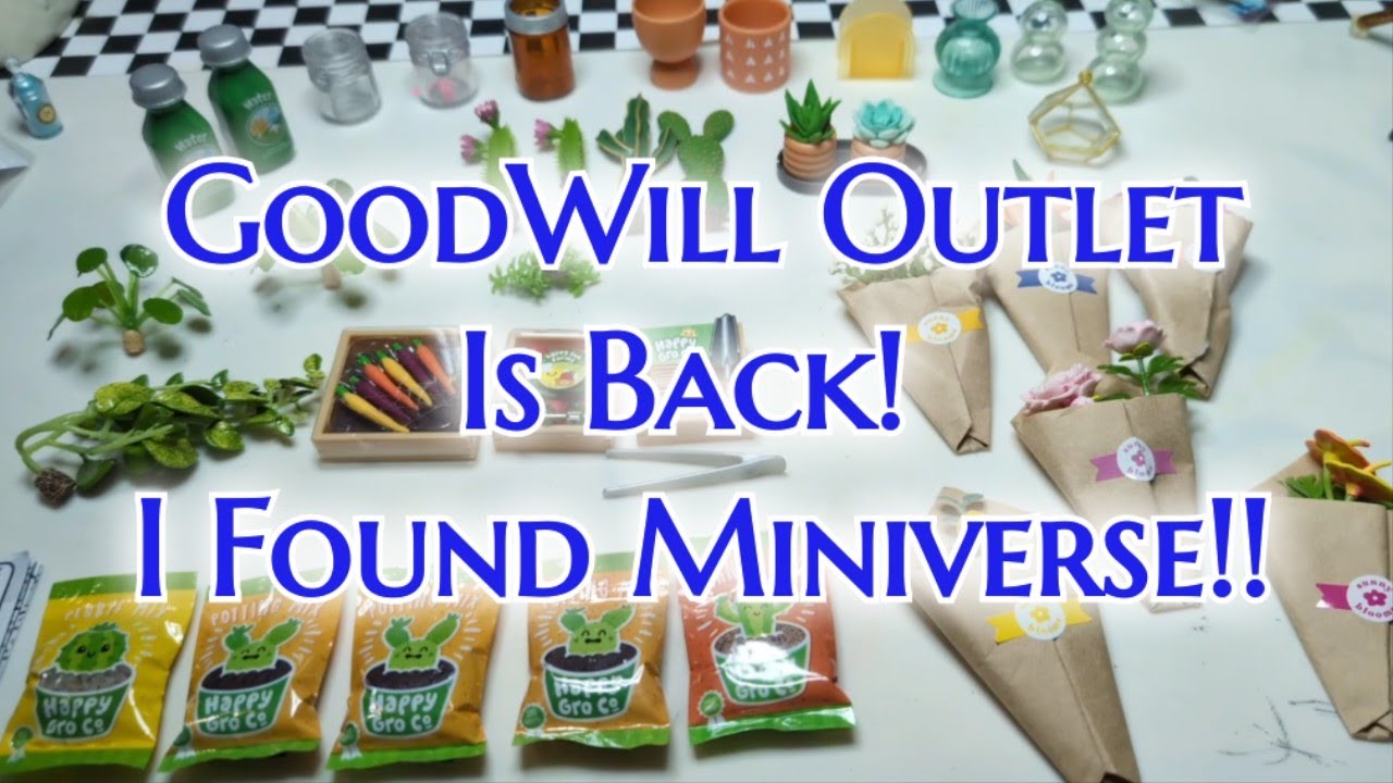 A Tornado Destroyed Goodwill Outlet - Now It's Back! Grand Reopening! What Did We Find!?