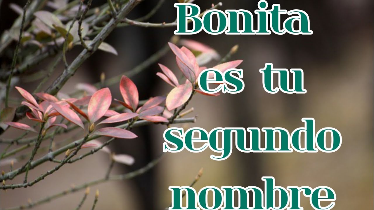 Bonita es tu segundo nombre