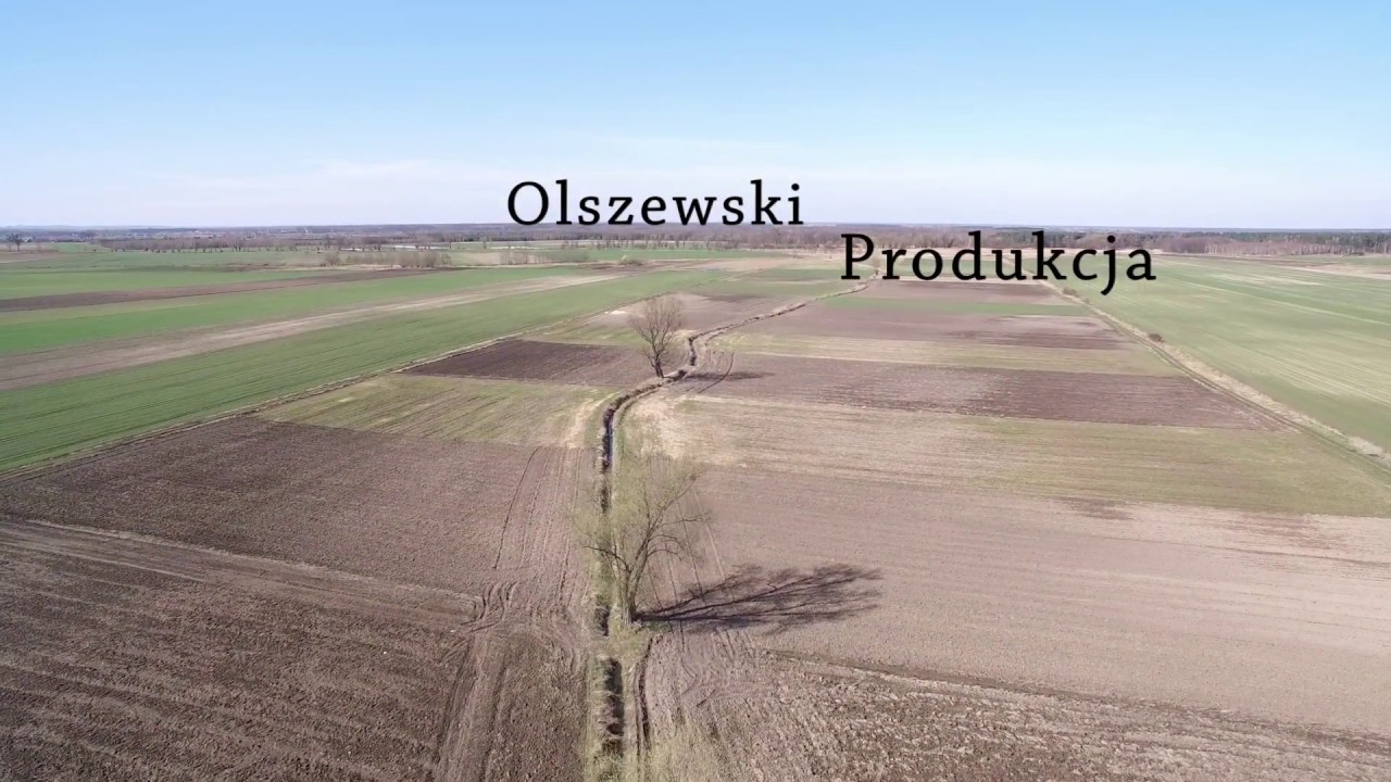 Flight Dron in Pawł&oacute;w Trzebnicki