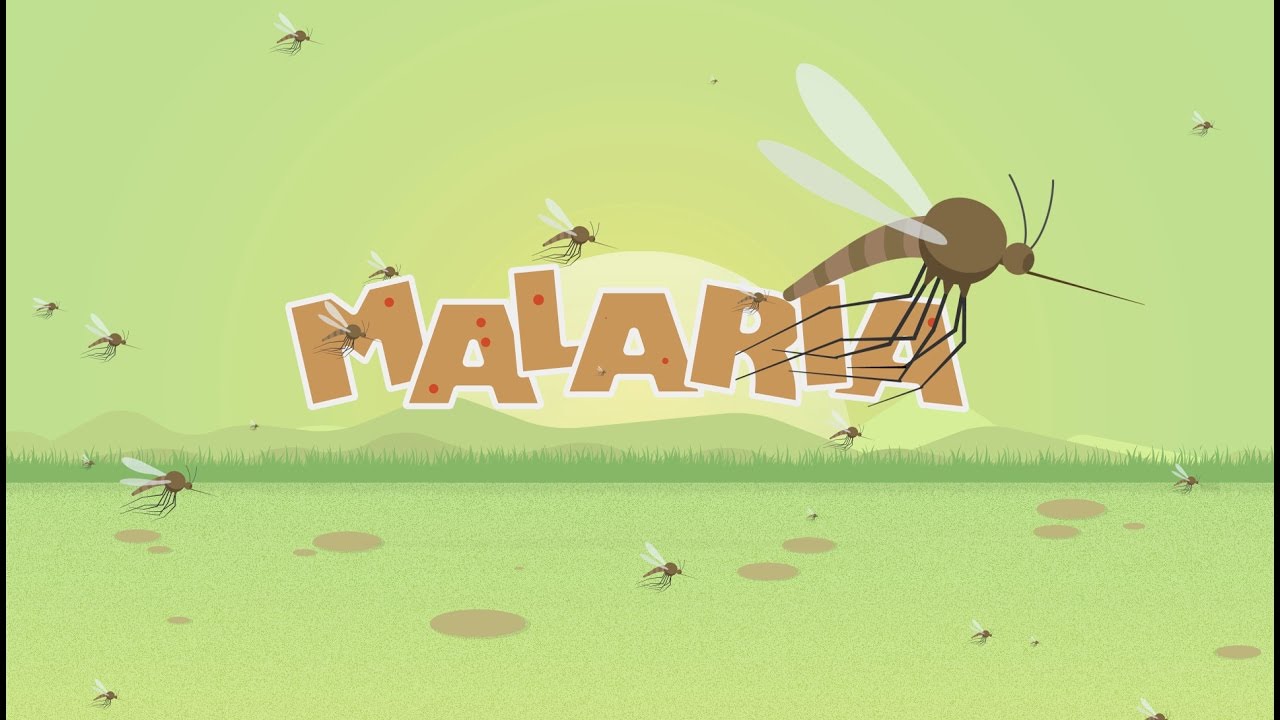 Malaria Animated