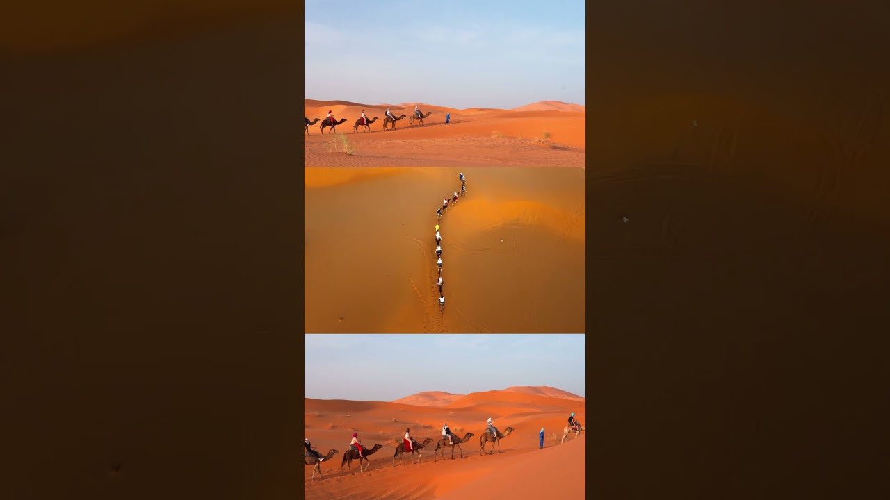 Discover the Magic of the Merzouga Desert with Our Unforgettable Camel Rides