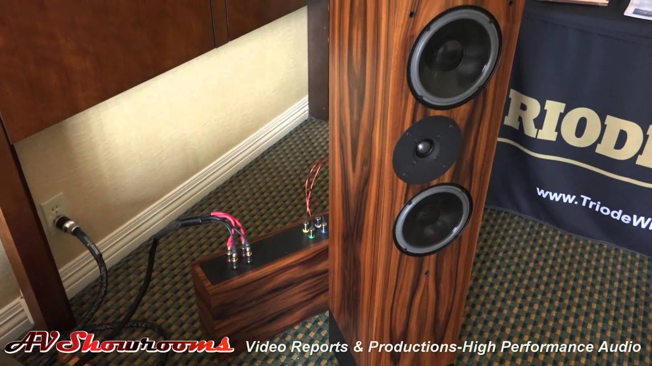 Border Patrol amplifiers, DACs, Gary Dews, Living Voice loudspeakers, Triode Wire Labs Capital Audio