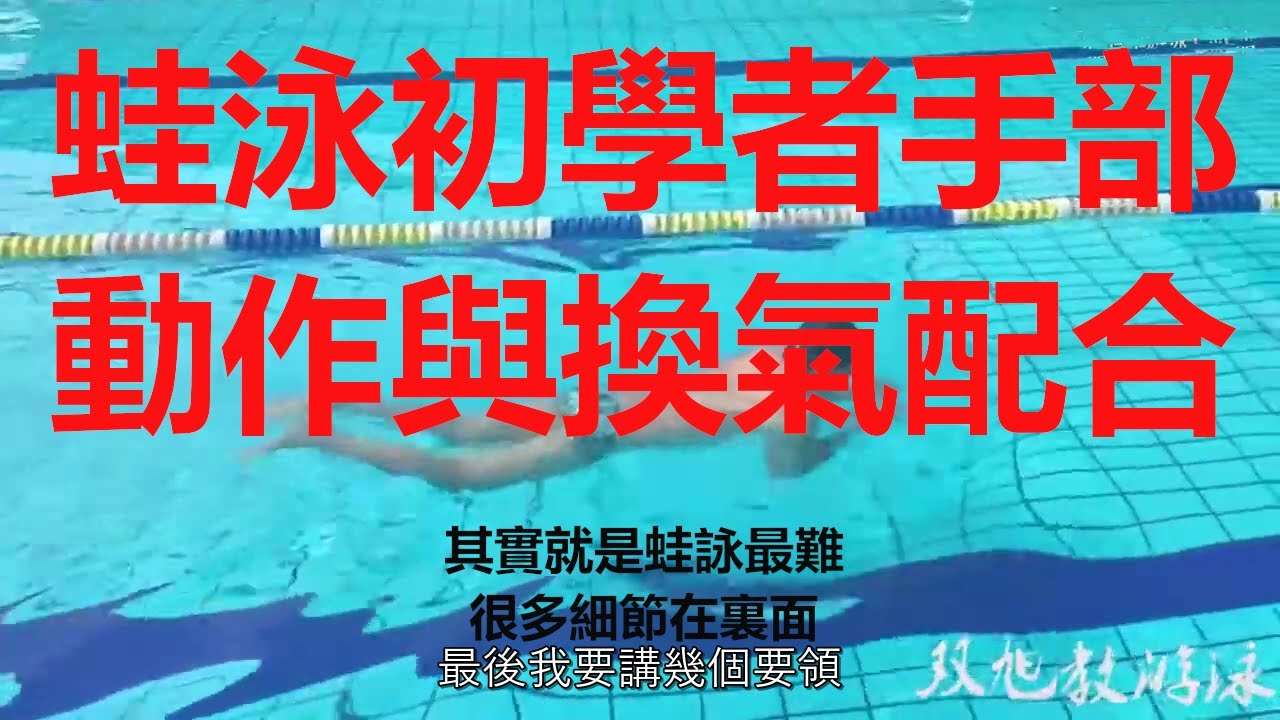 蛙泳手部动作与换气配合练习。Breaststroke hand movements and breathing exercises