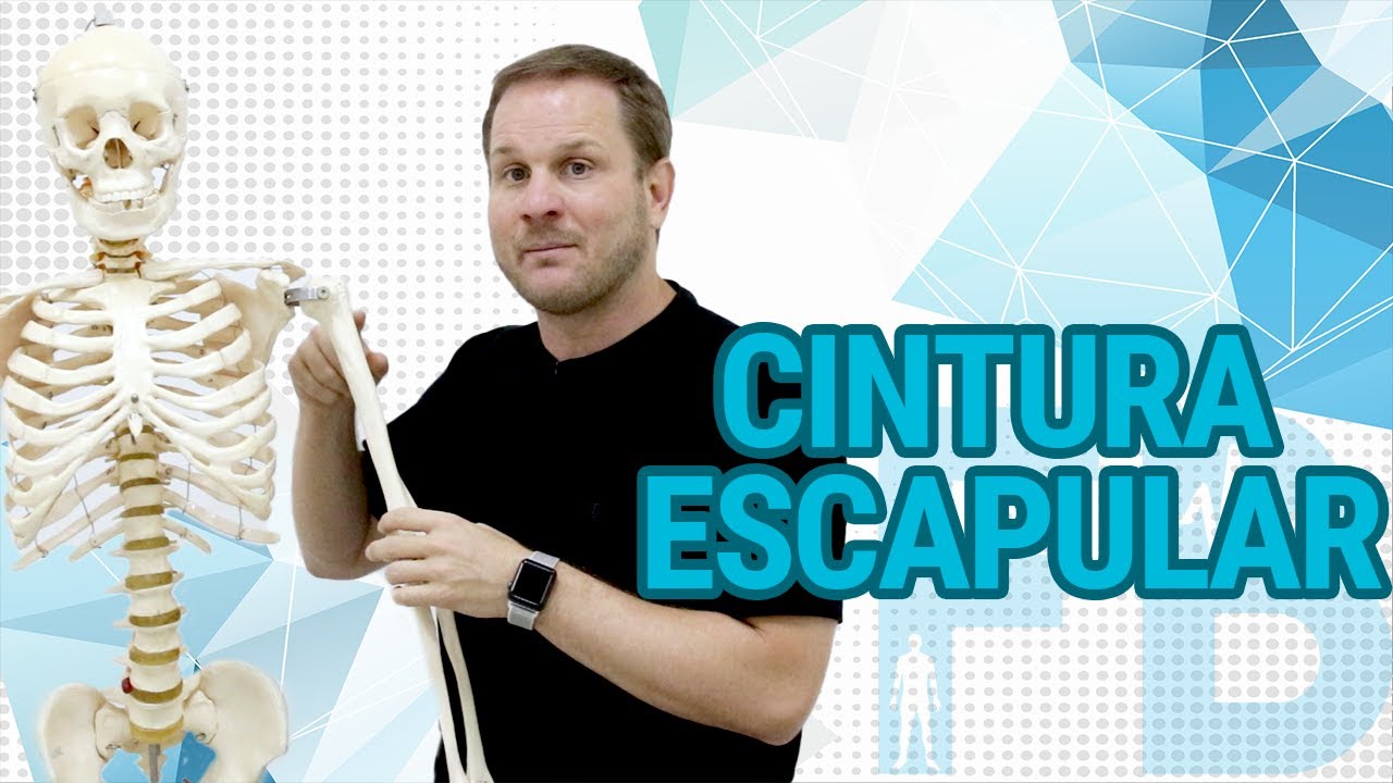 Cintura escapular - Aula prática
