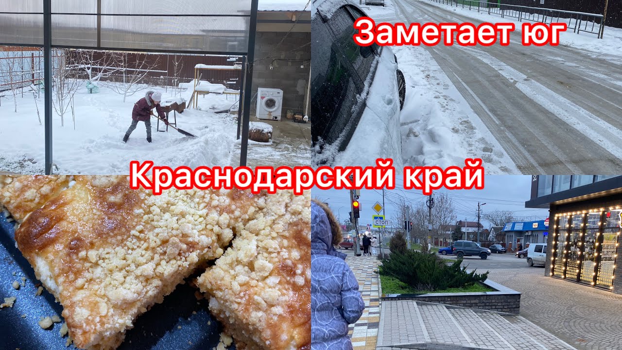 Переезд на юг. Снежная Кубань. Заболела. Кошачьи разборки. Скучали по снегу.