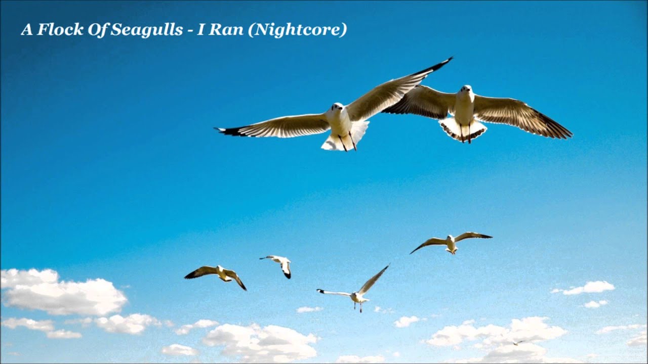 A Flock Of Seagulls - I Ran (Nightcore)