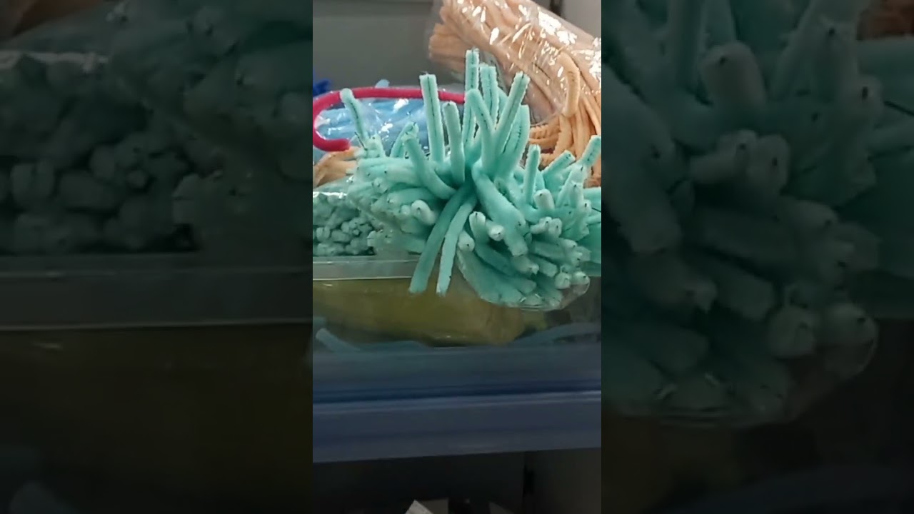 sukoyo art and craft store 