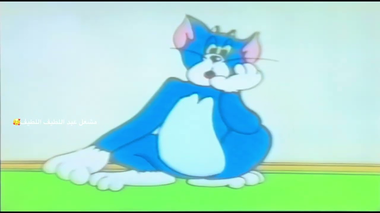 	اعلان نادر توم وجيري و تيمو من قناة مصر تقريبا ٩٢ 😂