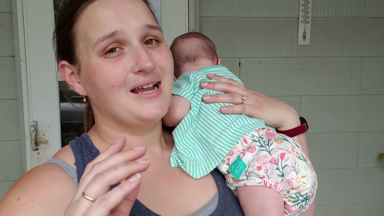 A Pampers Cloth Diaper? A Look at their Pure Hybrid